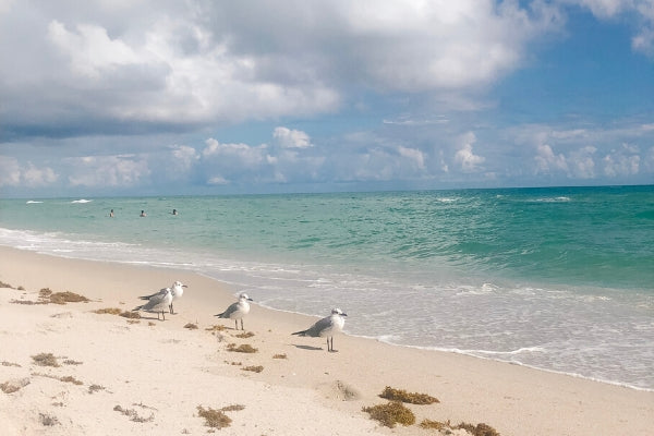 Top 3 Beach Bag Essentials